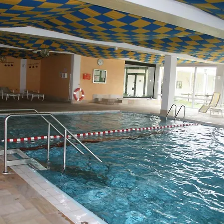 Rosenalm 256 Scheidegg